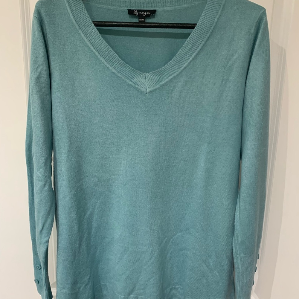 Lily Morgan Blue V-Neck Sweater A2